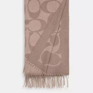 Coach Tan Signature Scarf Grey Birch